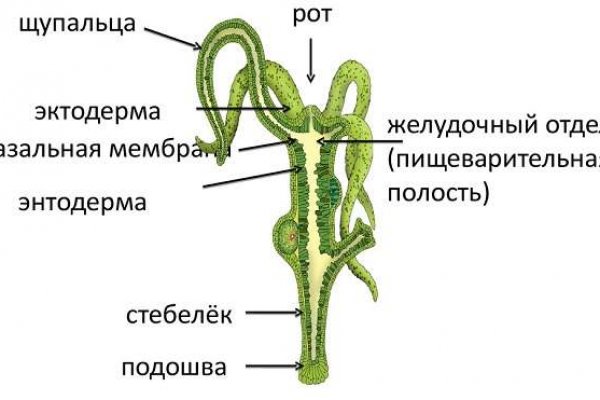 Нова ссылка blacksprut blacksprut wiki