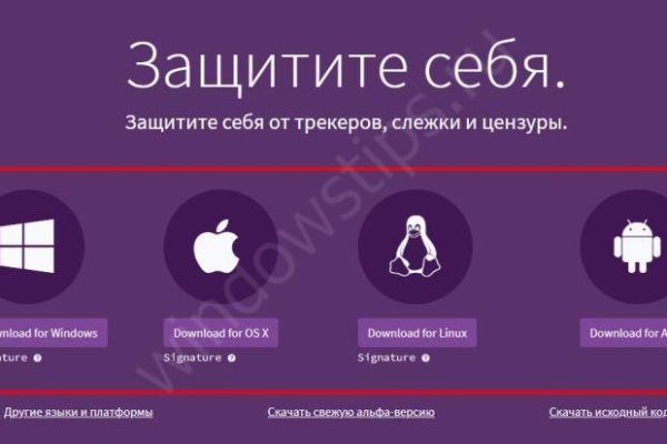 Блек спрут bs2web top