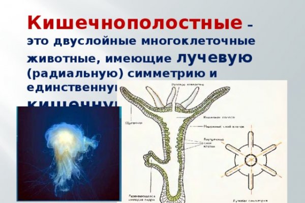 Сайт блэк спрут отзывы