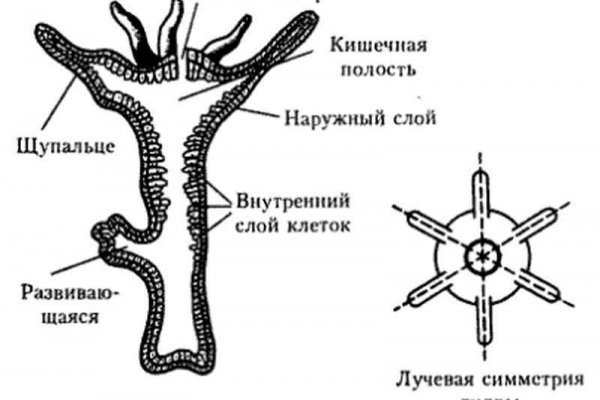 2fa аутентификация blacksprut